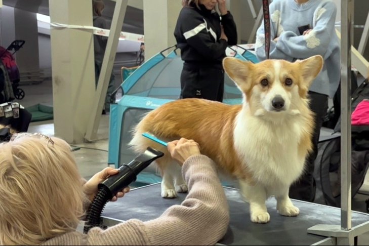 © Фото VN.ru.📷
