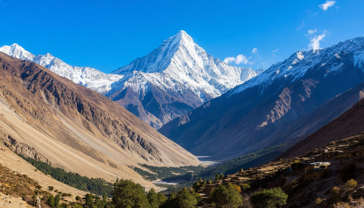    Фото: коллаж RuNews24.ru