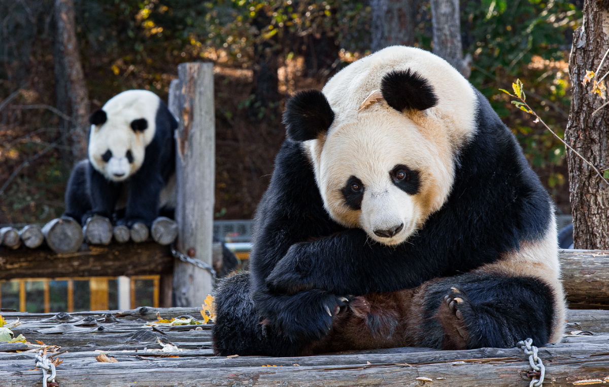 Илья Аверьянов/ТАСС