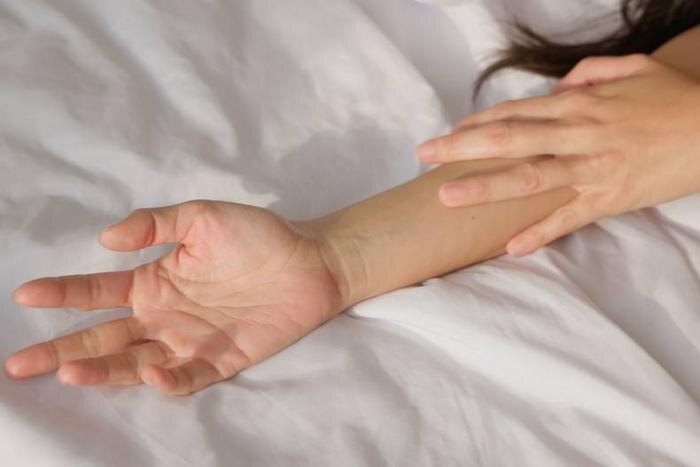 Обложка © Shutterstock / FOTODOM / aslysun