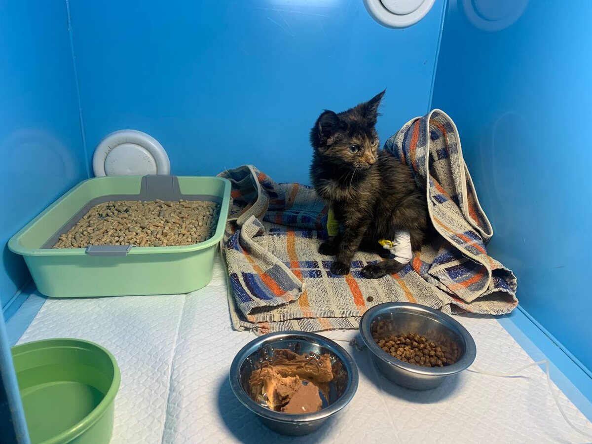 Гаечка в стационаре