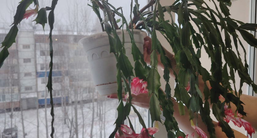    Фото из архива редакции