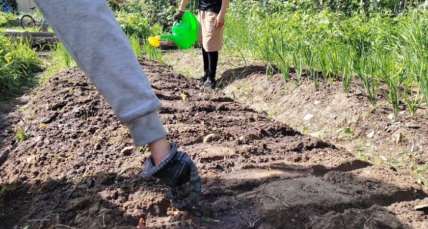    фото из архива редакции