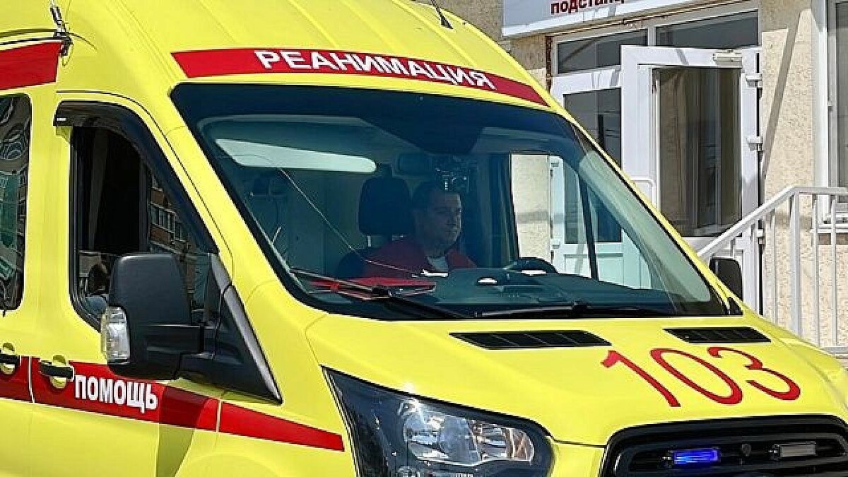    Фото: телеканал «Краснодар»