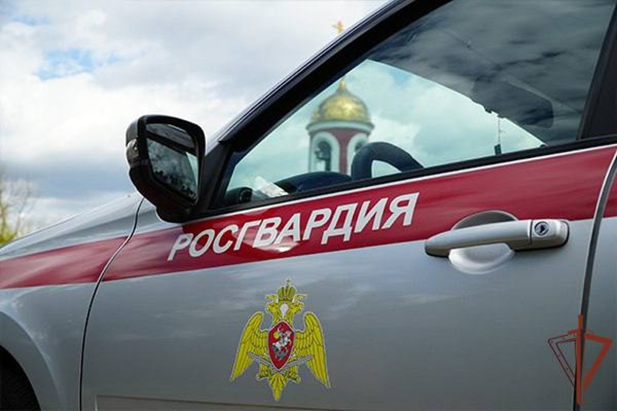    Фото: Росгвардия, источник t.me RosgvardOfficial