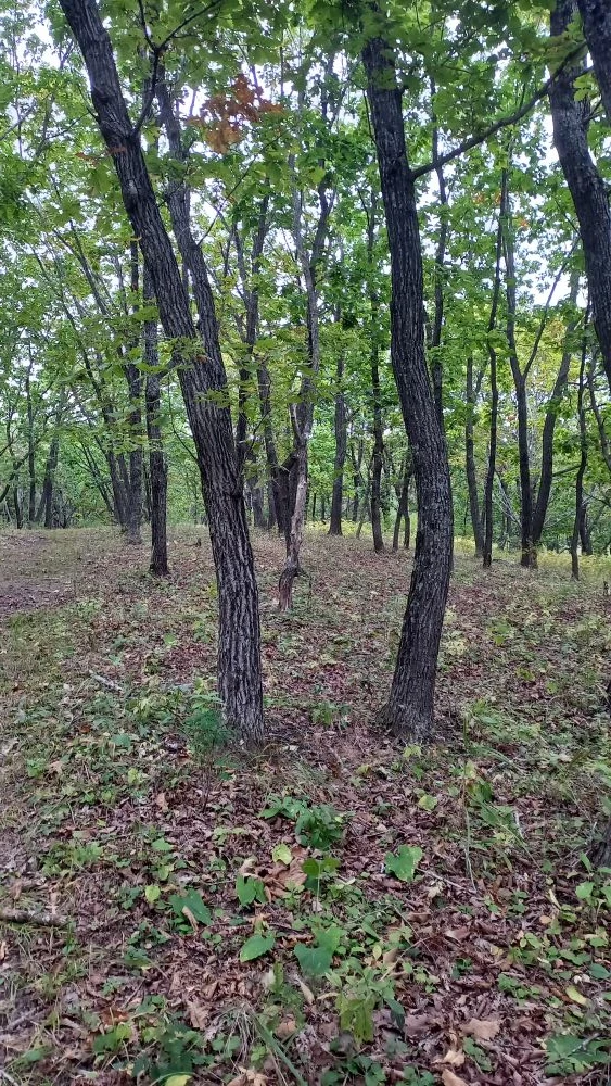 Фото Ирины Павленко