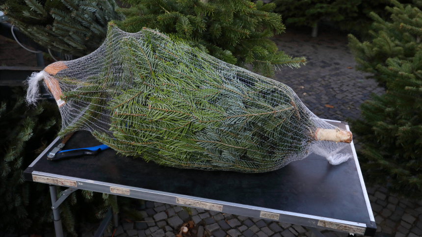    Фото: www.globallookpress.com/MoÂ¼ller-Stauffenberg via www.im