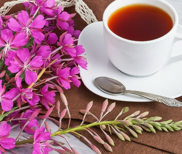 Иван-чай: напиток для здоровья и спокойствия