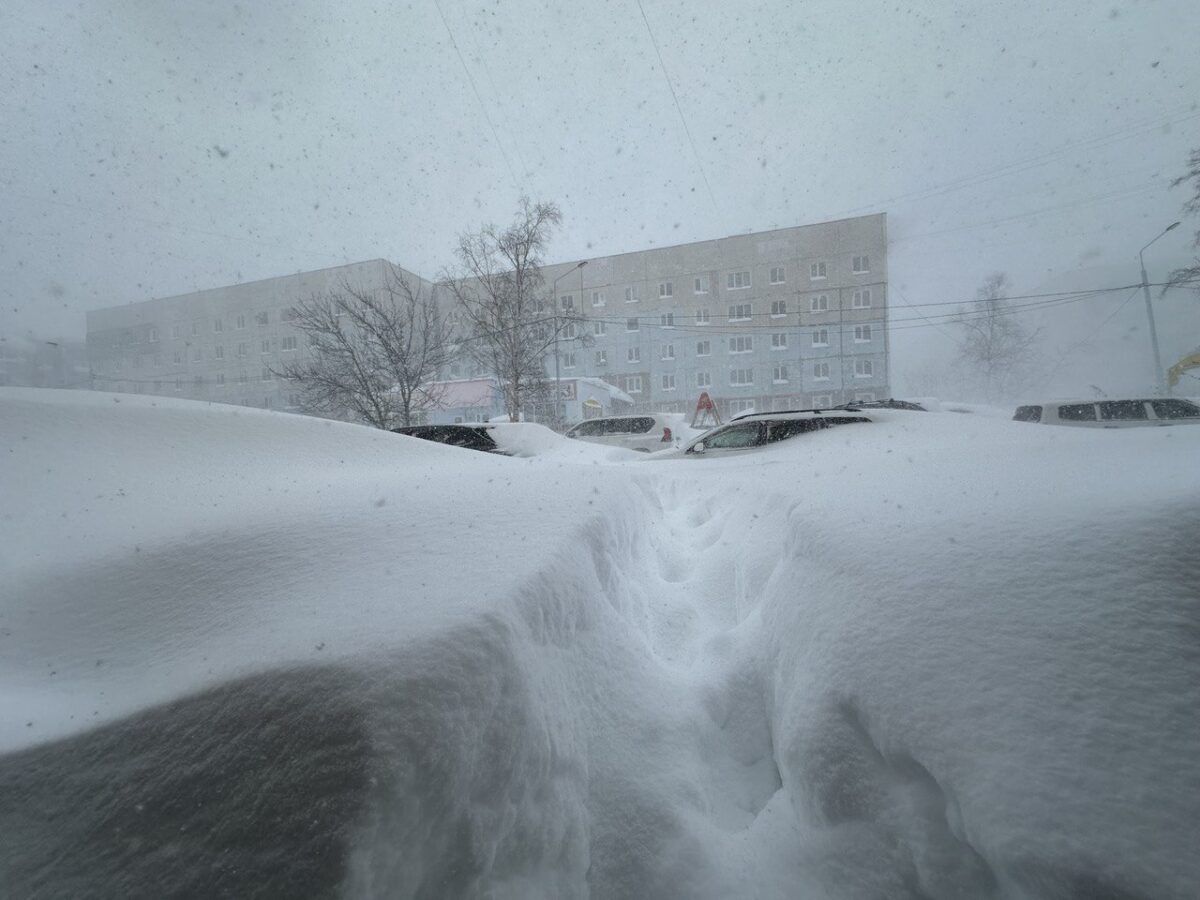    Метель, зима, сугробы Наталья Краснова
