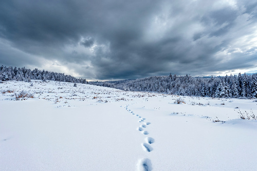    Фото: freepik. com