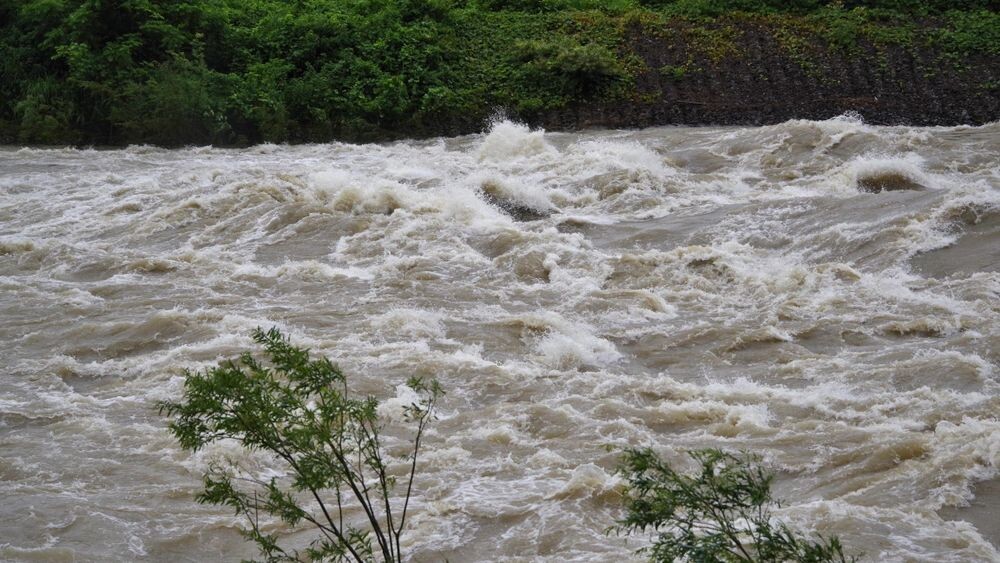    Фото: gorosan/Shutterstock/Fotodom