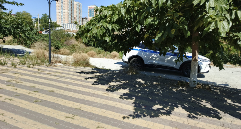    Фото irkutsk.news