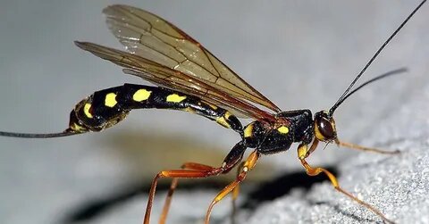    Фото: открытый источник