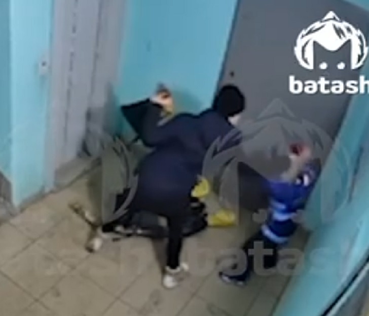    Фото Mash Batash