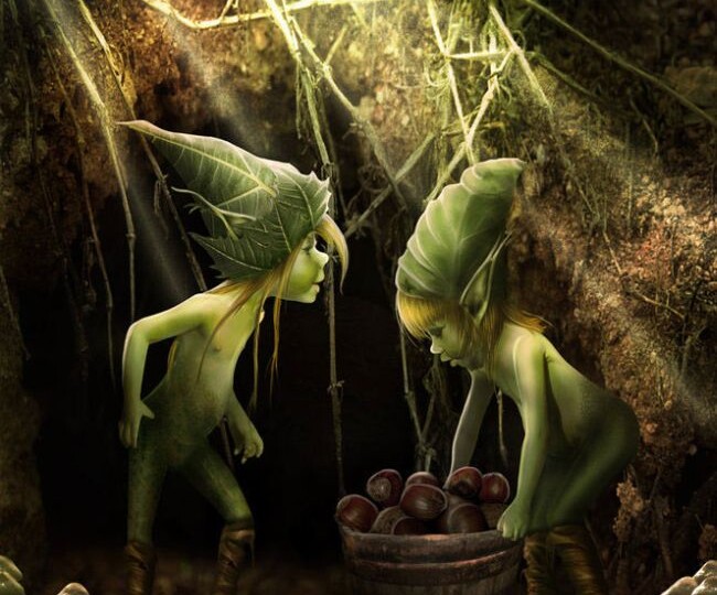 Женщина рассказала как лесной народец вывел ее из лесу