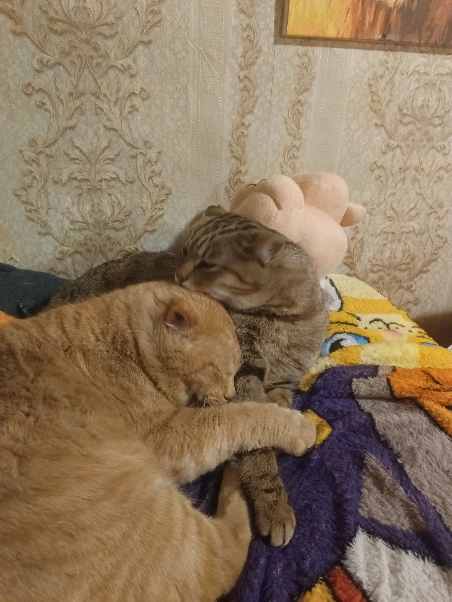 Проня и Марфуша ждут потепления