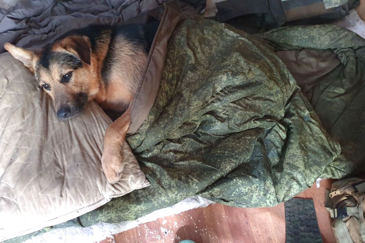     Фото: Из личного архива героя публикации