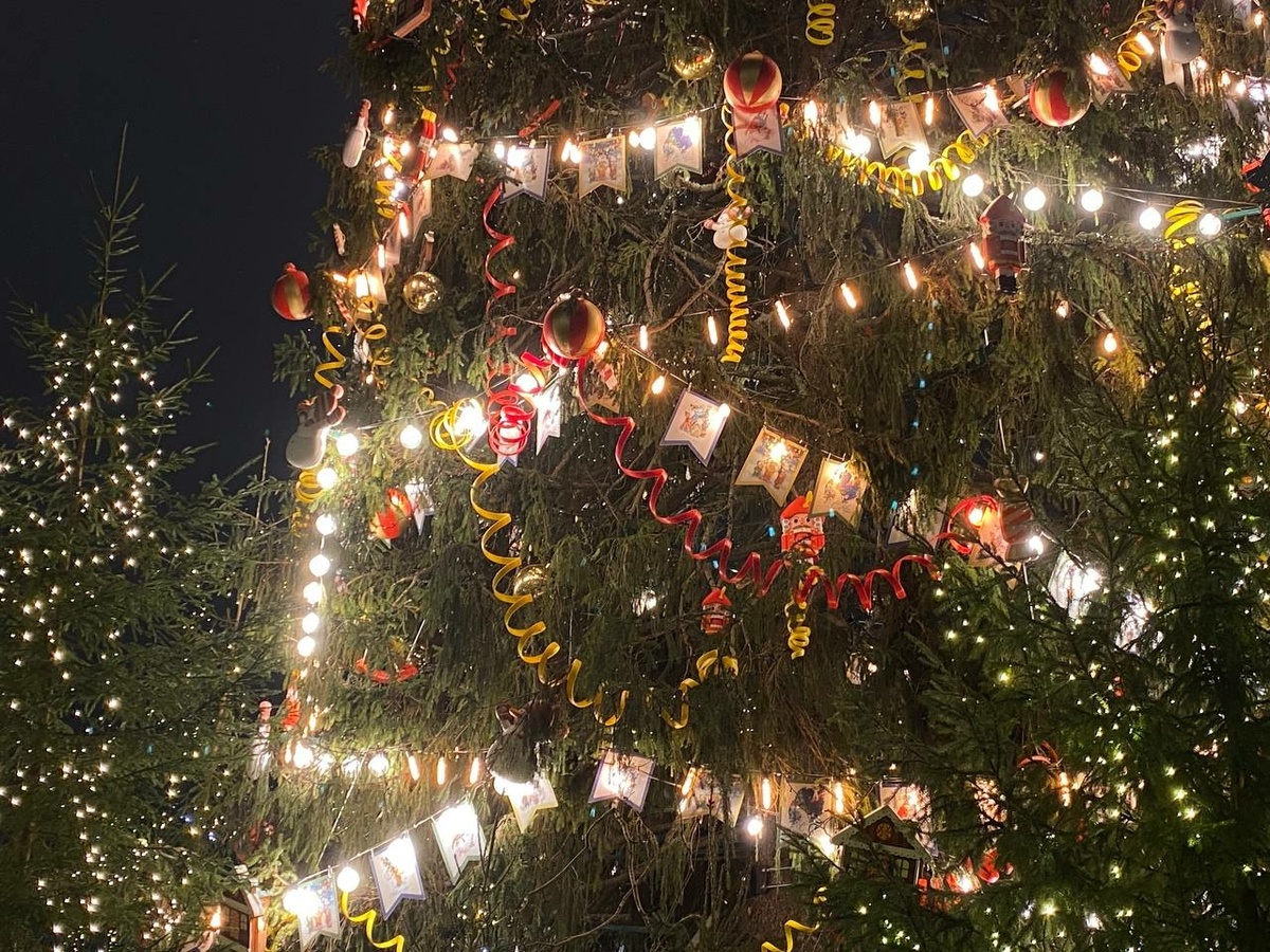 Фото: Neva.Today/Алена Васина