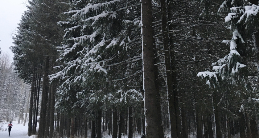   Фото из архива нашей редакции