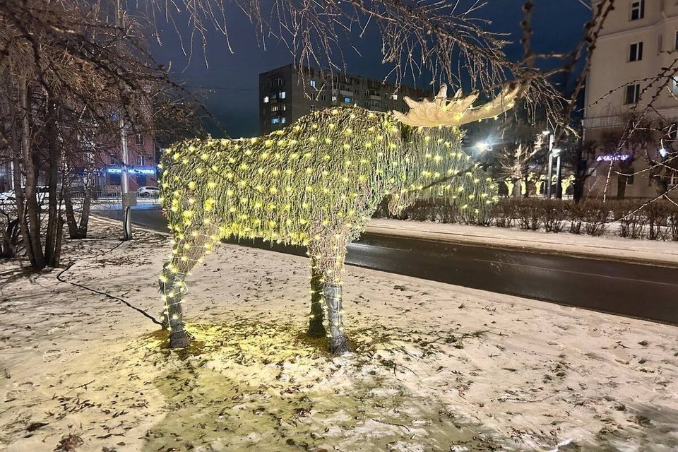    Фото: телеграм-канал gradvestnik