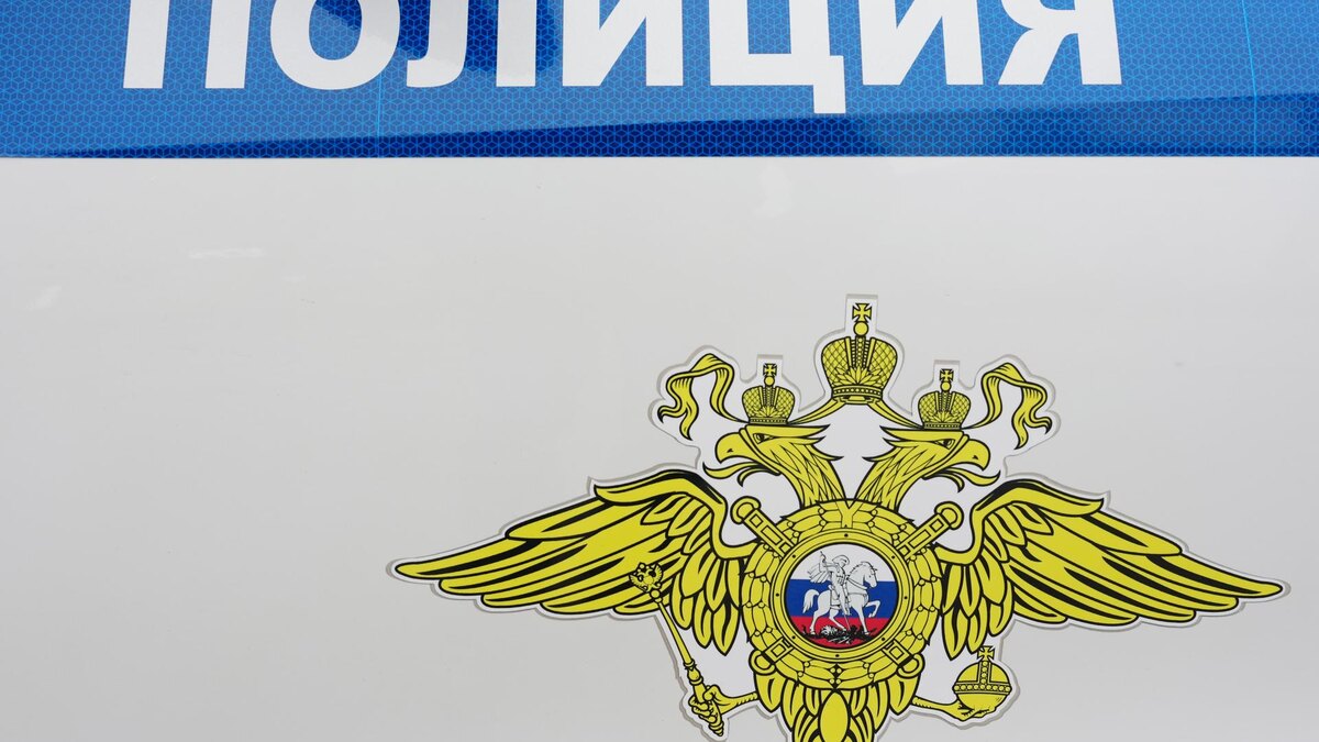    Фото: ИЗВЕСТИЯ/Эдуард Корниенко