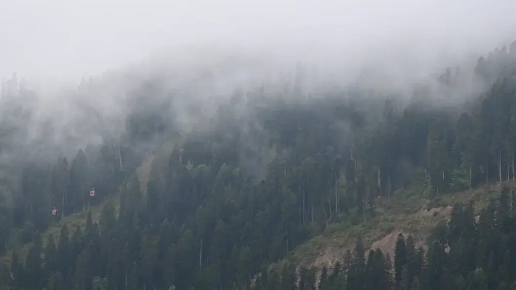    Фото: Царьград