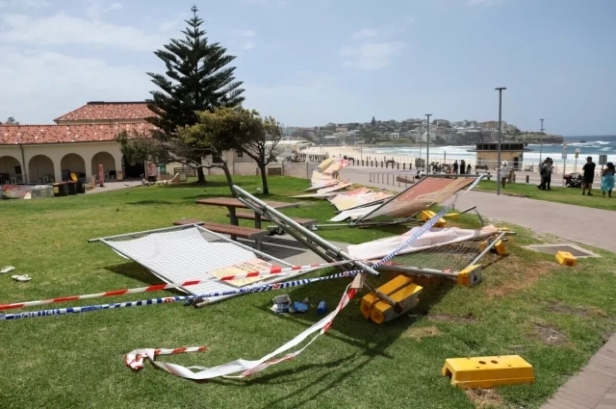    Миллиардер из США пожертвовал разоружившему террориста в Сиднее $100 тысяч