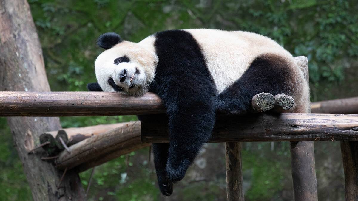    Фото: Shutterstock