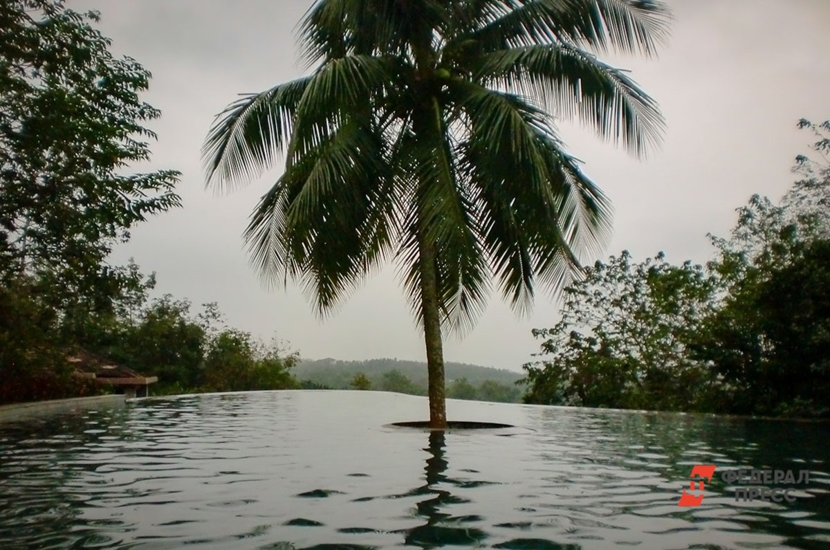 Россияне массово едут во Вьетнам.  Фото: Фото: ФедералПресс / Дарья Сеймовская