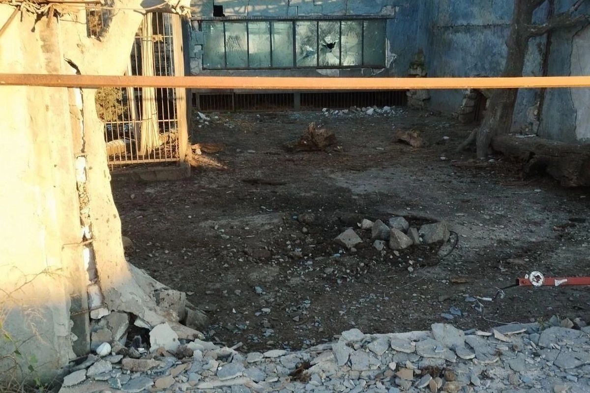    Фото: Телеграм-канал Евгения Балицкого