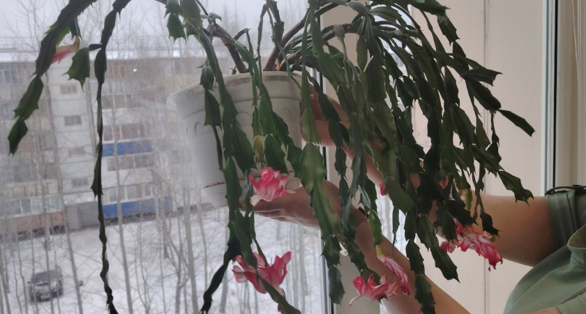    Фото редакции