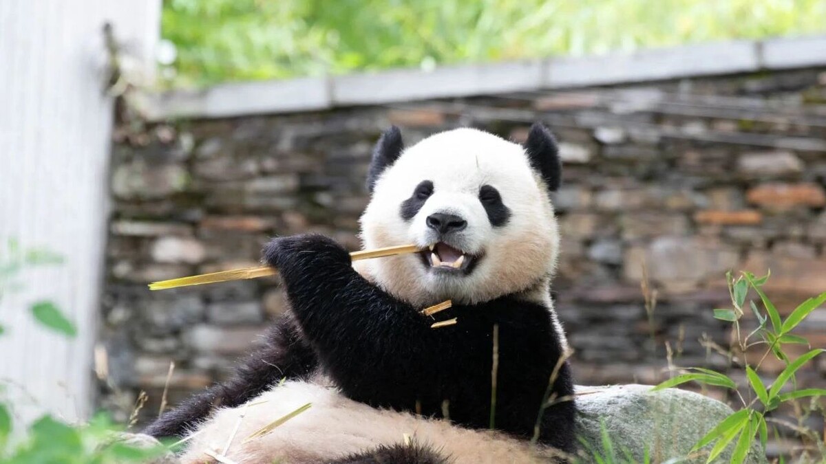    Фото: Foreverhappy/Shutterstock/Fotodom