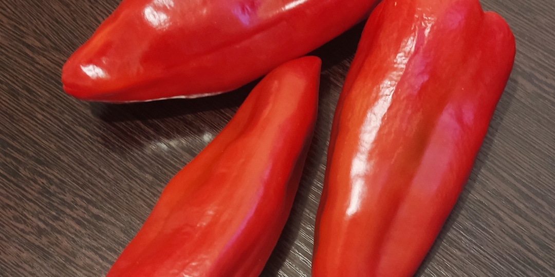 Перец «РИД»