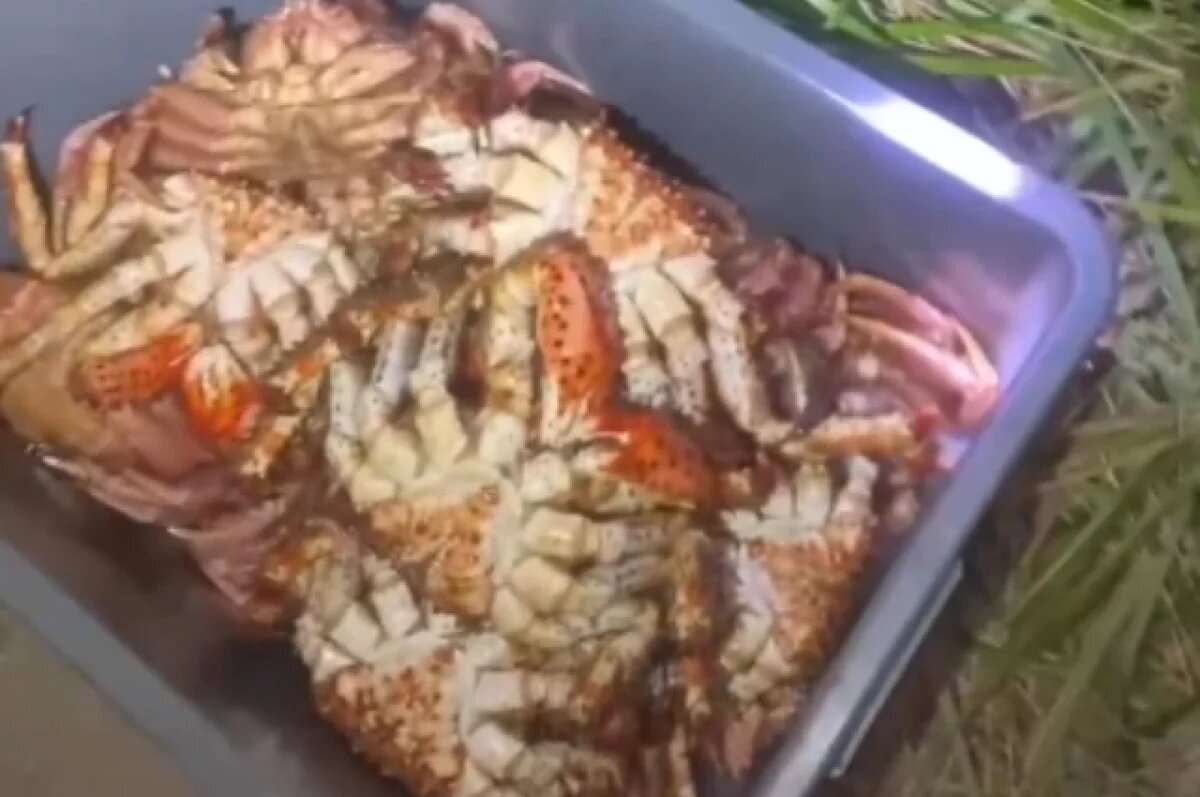    В Хабаровском крае мужчина ответит за незаконный вылов редких крабов