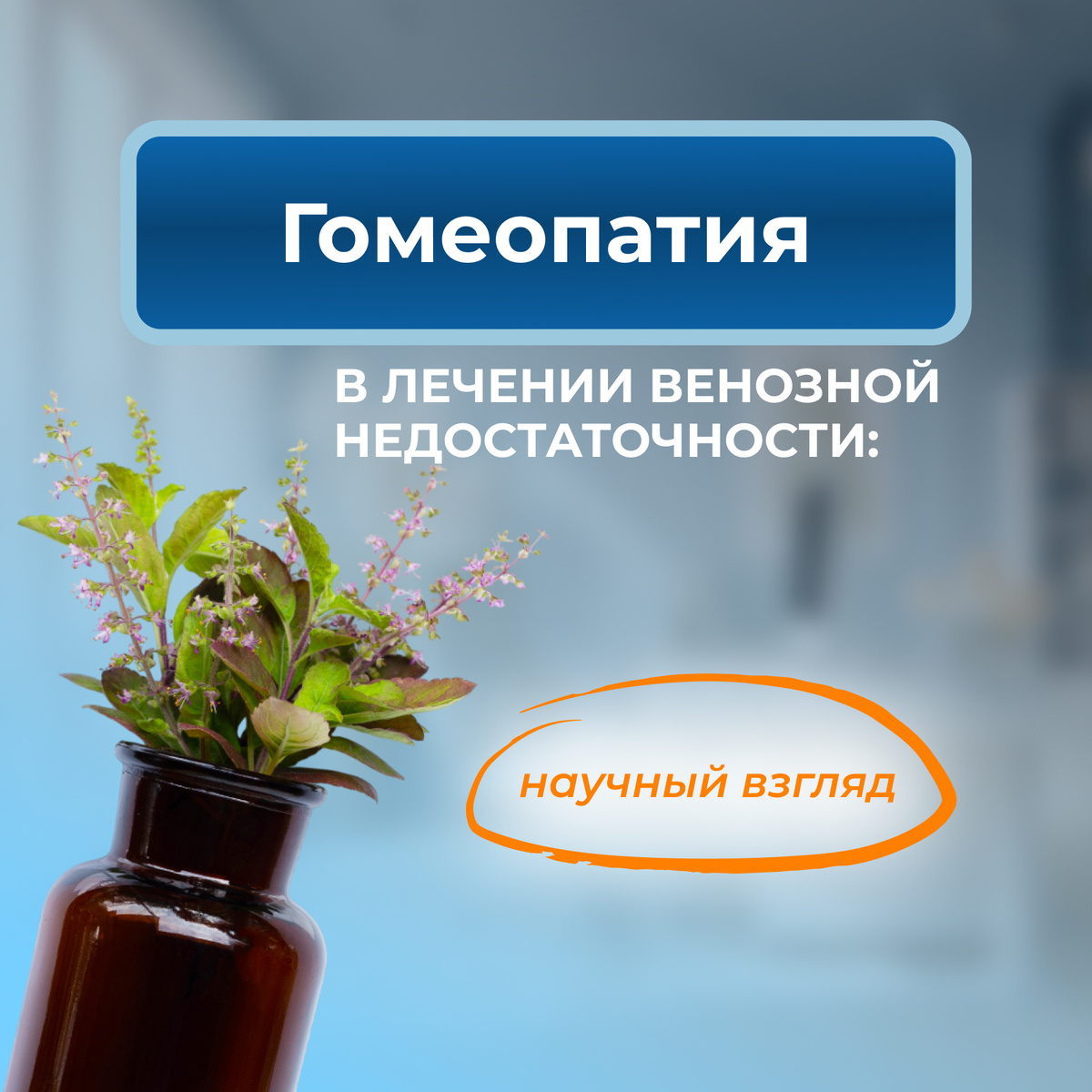 Харисов Артур Ахиярович. Республика Башкортостан: г. Уфа. 
Оренбургская область: г. Гай, Орск, Плешаново. Челябинская область: г. Златоуст, Кизил.