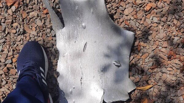    © Фото : Василий Голубев / Telegram