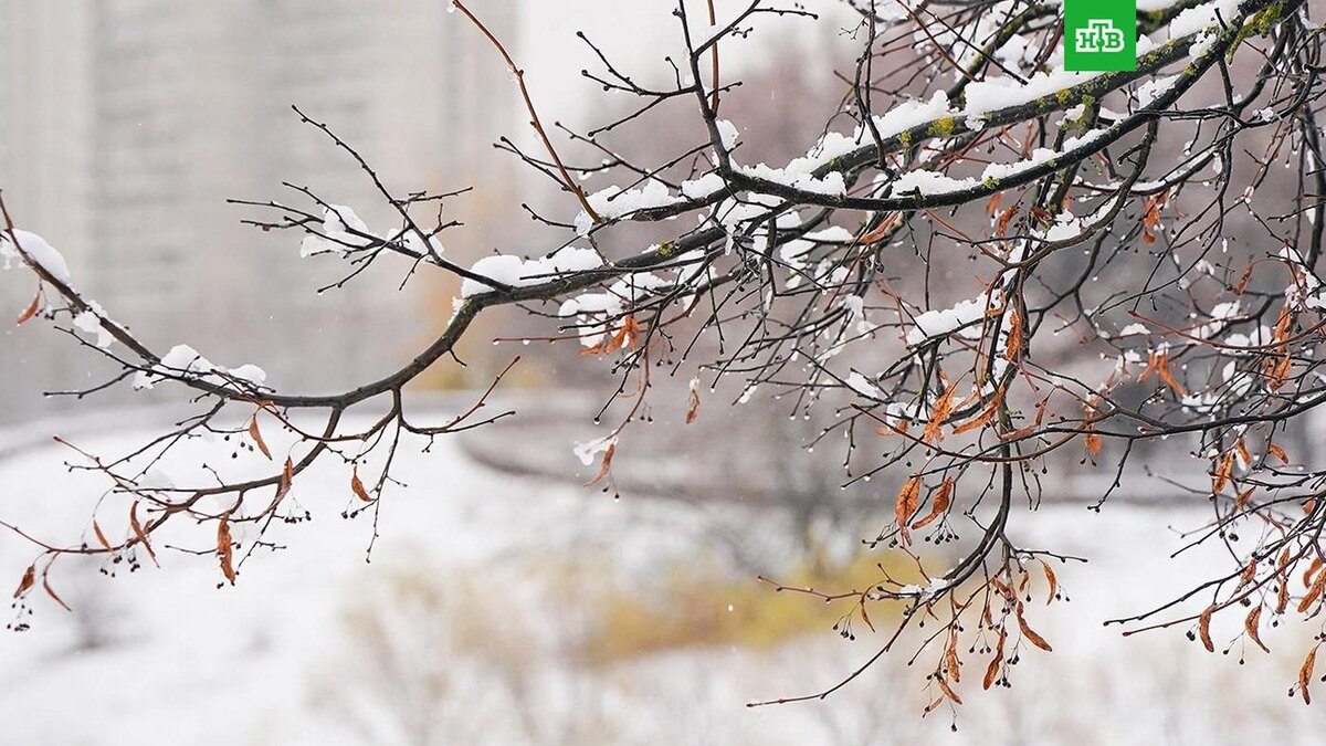    Фото: Евгений Самарин / mos.ru