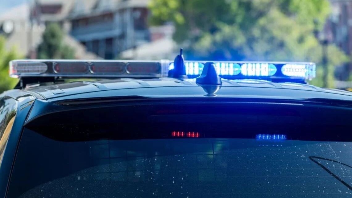    Фото: Charles-McClintock Wilson/Shutterstock/Fotodom