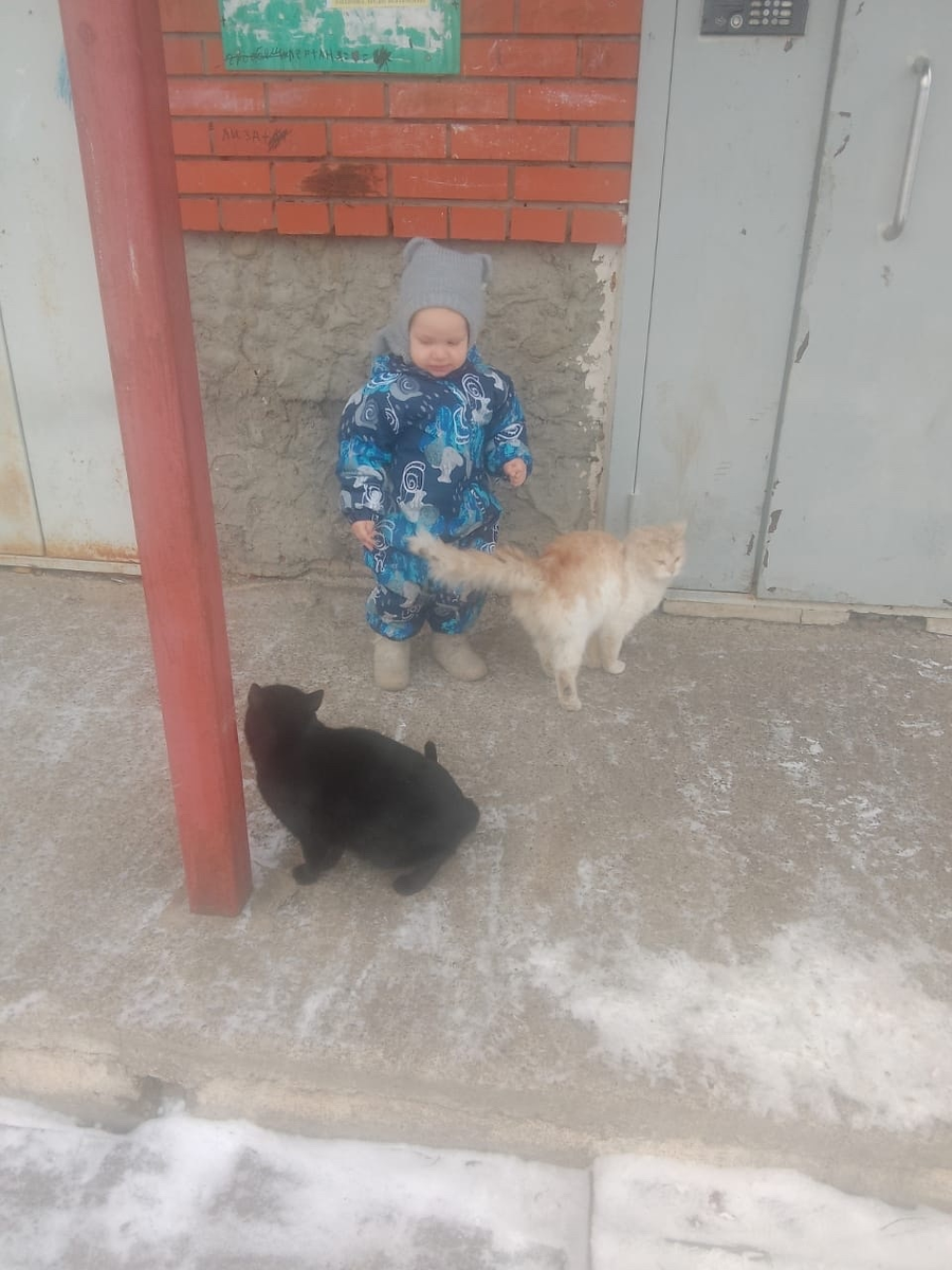 Кошатник Женя