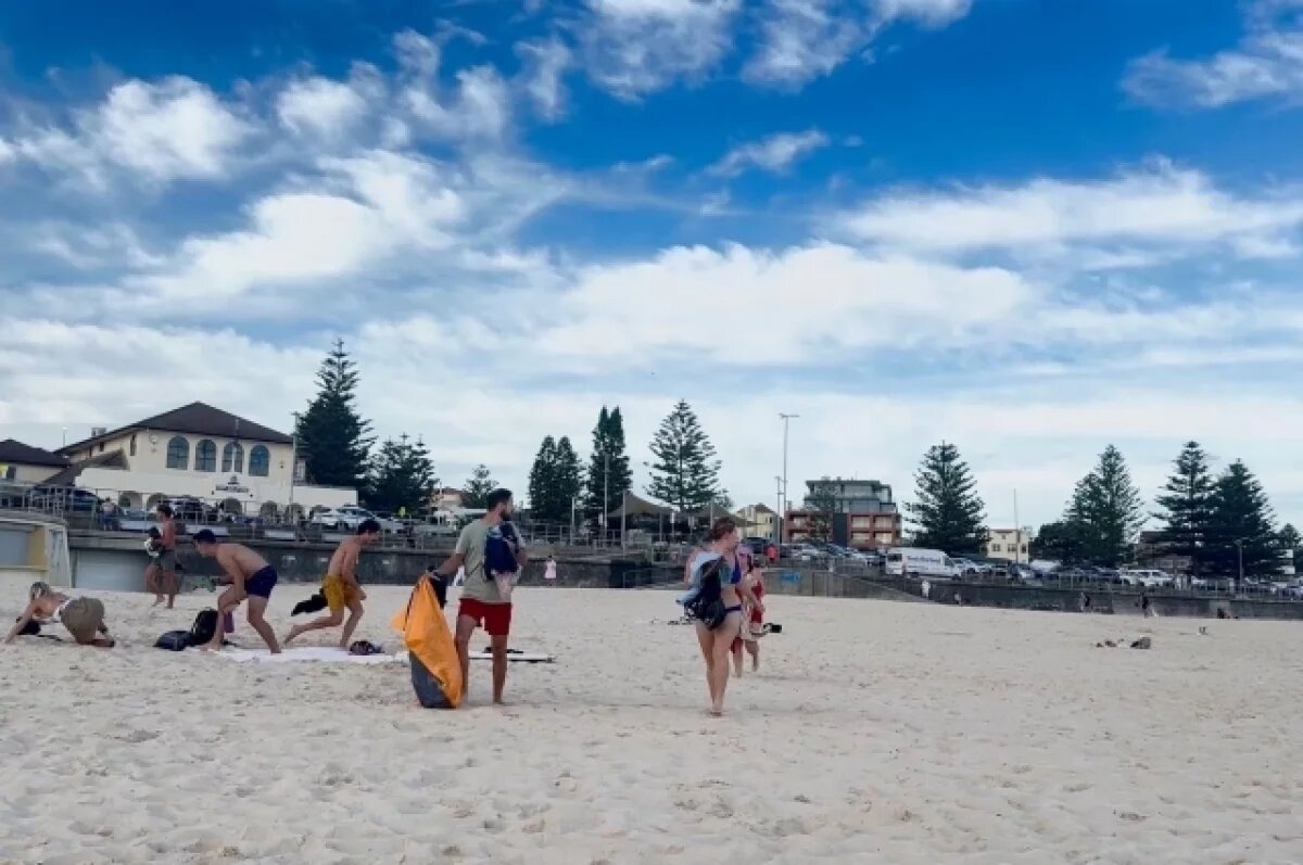    DM: на мусульманском кладбище в Сиднее нашли свиные головы после теракта