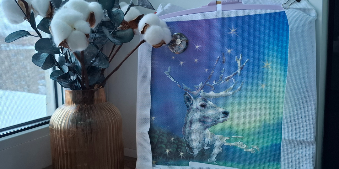 СП "Зимние рассказы. Отчёт 2.