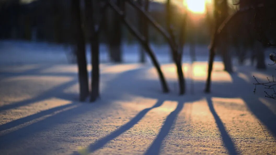    Олег Рукавицын/"Царьград"