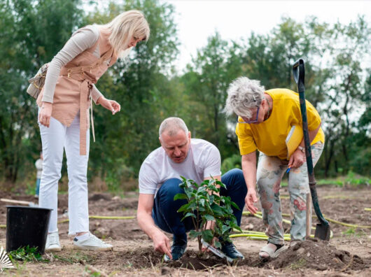    В Ботсаде ЮФУ создали сирингарий из порядка 100 уникальных сортов сирени //Фото пресс-служба ЮФУ