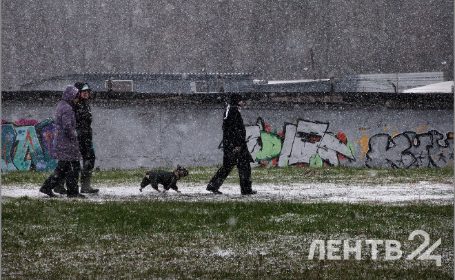    © Анастасия Илюшина / ЛенТВ24, архивное фото