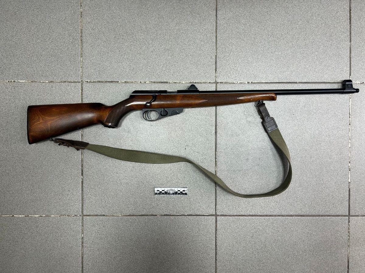    Югорчанка осуждена за незаконное хранение боеприпасов и передачу оружия