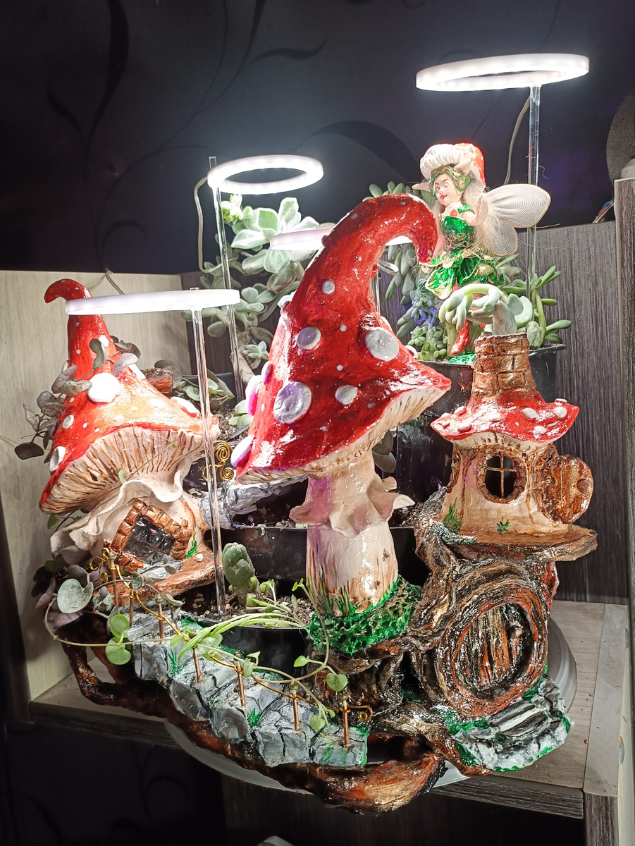 Фото от автора. Мой садик