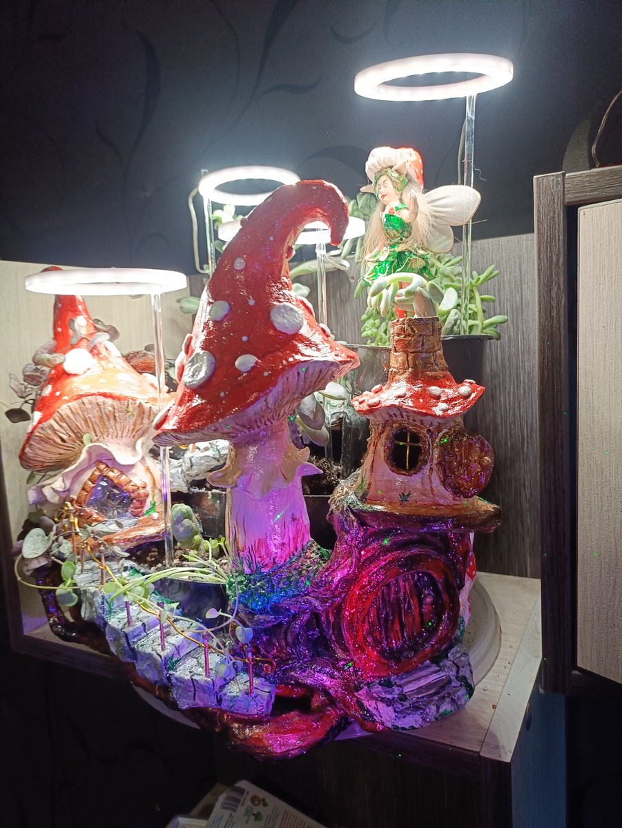 Фото от автора. Мини садик. 