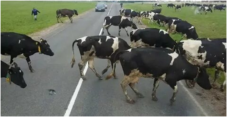 Фото из фильма