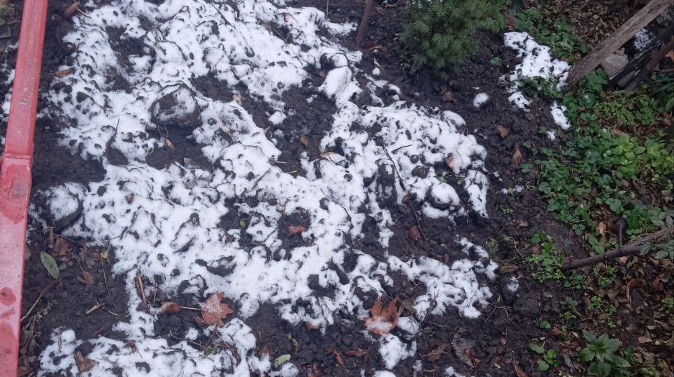 У нас пополнение 🤗 Добро пожаловать, Семья