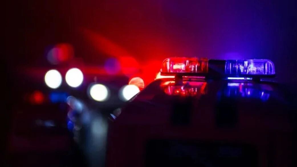    Фото: zef art/Shutterstock/Fotodom